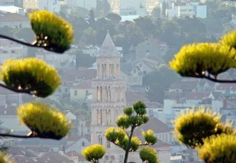 Spalato Damjan 0*, Split